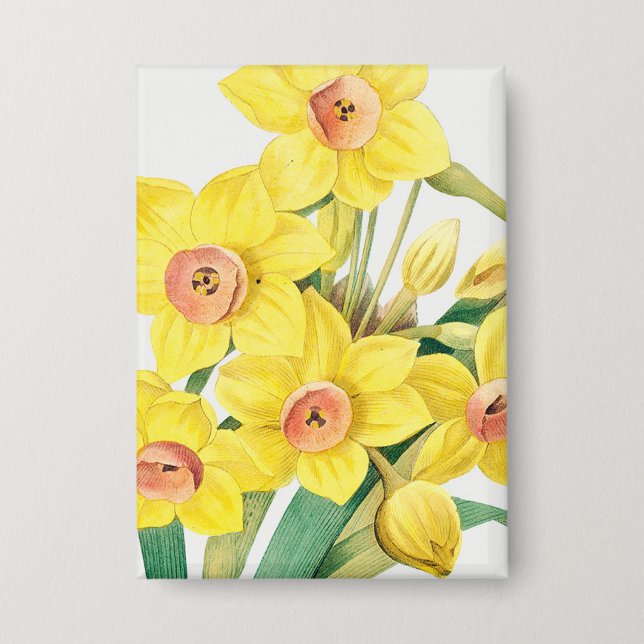 Chinese Sacred Lily, Pierre-Joseph Redouté,  Button (Front)