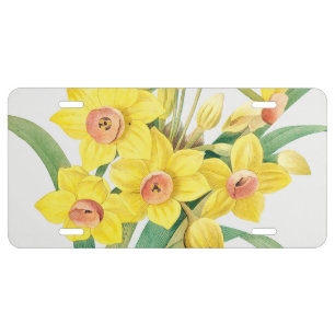 Chinese Sacred Lily, Pierre-Joseph Redouté,  License Plate
