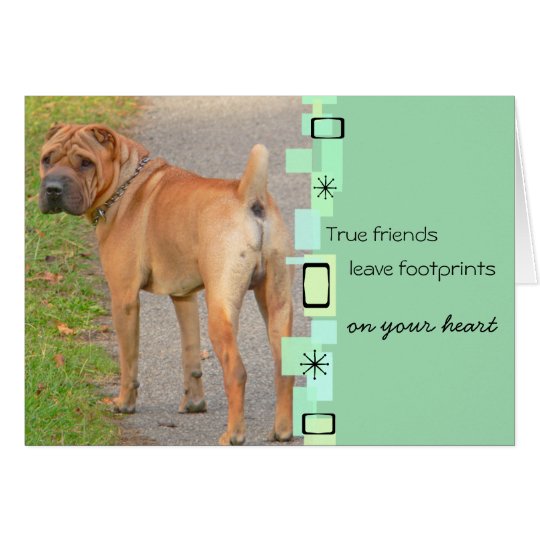 Chinese Shar Pei Birthday Greeting Card