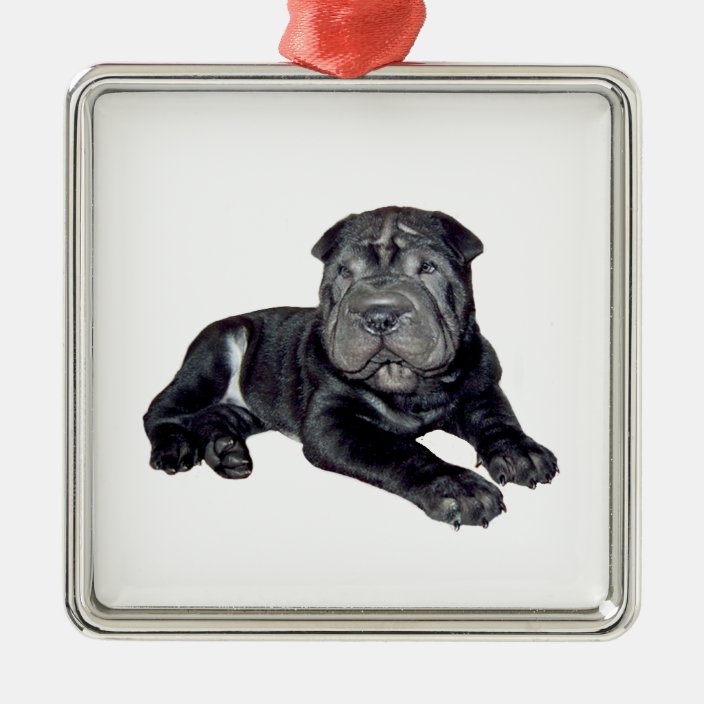 Shar Pei Ornament 2024 www nilveleironagual