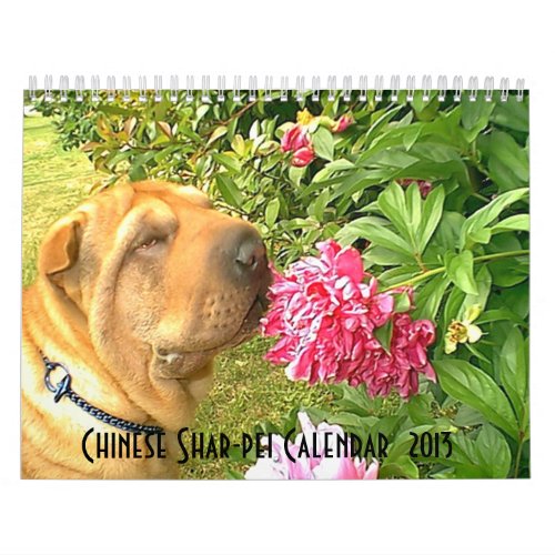 Chinese Shar_pei Calendar