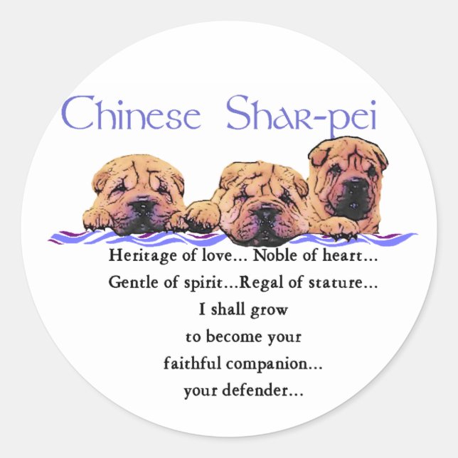 Chinese Shar-pei Gifts Classic Round Sticker (Front)