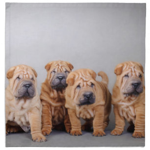 Chinese Shar pei puppies Cloth Napkin