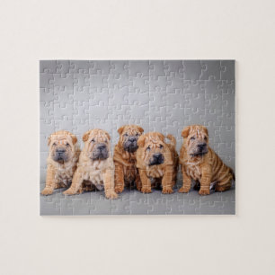 Chinese Shar pei puppies Jigsaw Puzzle