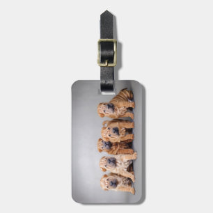 Chinese Shar pei puppies Luggage Tag