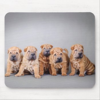 Chinese Shar Pei Puppies Mouse Pad by petsArt at Zazzle