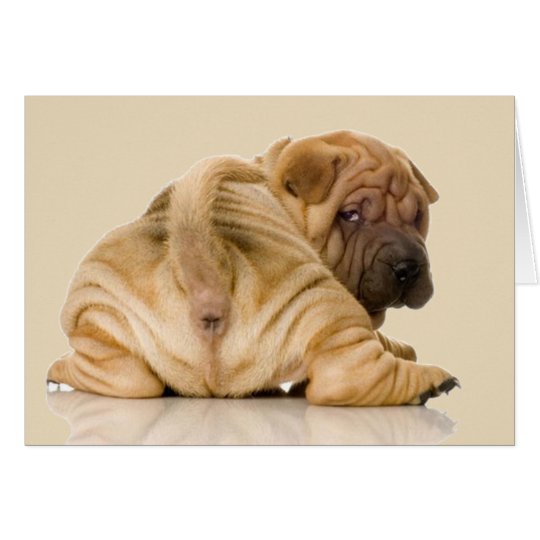 Chinese Shar Pei Puppy Dog Zazzle Com