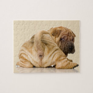 Chinese Shar-pei Puppy Dog Jigsaw Puzzle