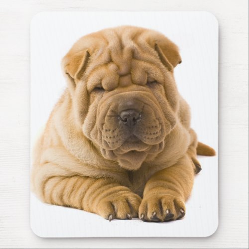 Chinese Shar Pei Puppy Dog _ Sharpei Mouse Pad