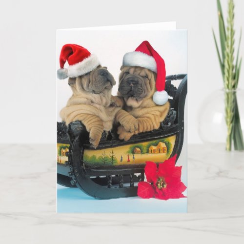 Chinese Shar pei with x_mas hats Holiday Card