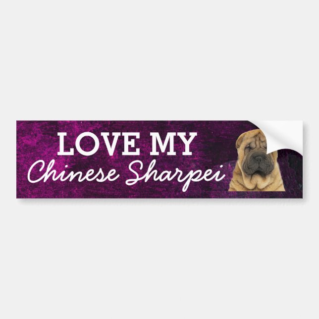 Chinese Sharpei bumper sticker (Front)