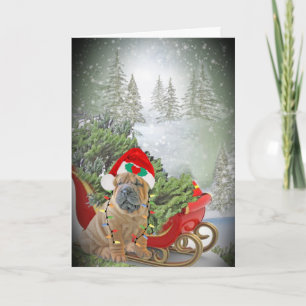 Chinese Sharpei Merry Christmas Holiday Card