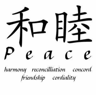 Chinese sign for peace magnet