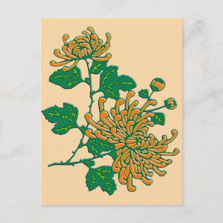 Chinese spider chrysanthemums - light orange postcard