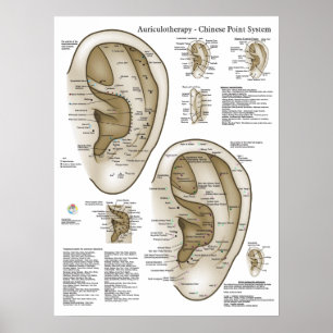 Chinese System of Auricular Ear Acupuncture Poster