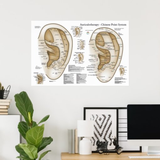 Chinese System Of Auricular Ear Acupuncture Poster | Zazzle