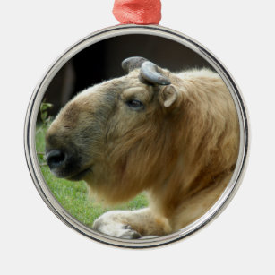 Chinese Takin Christmas Ornament