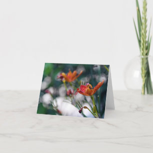 Chinese Tiger Lily Flowers Add Your Greeting Blank Card