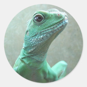 Chinese Water Dragon Classic Round Sticker