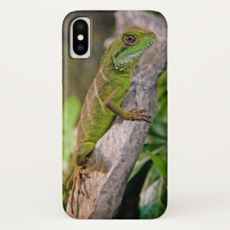 Chinese Water Dragon iPhone X Case
