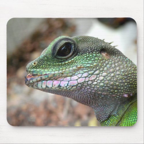 Chinese water dragon mouse pad