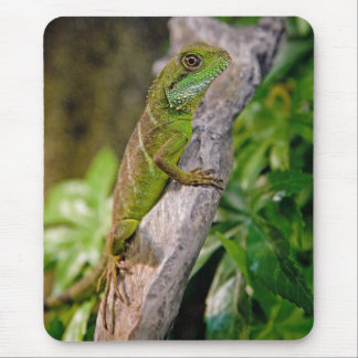 Chinese Water Dragon Mousemat Mouse Pad