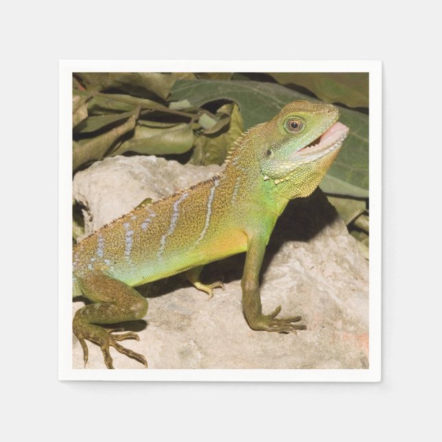 Chinese water dragon paper napkins (Front)