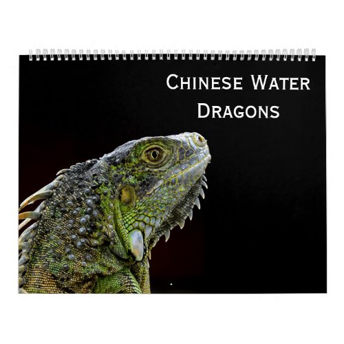 Chinese Water Dragons Calendar