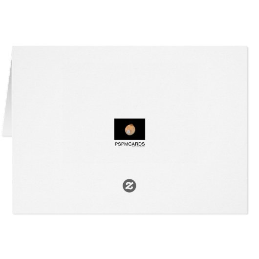 Chinese Ya Pear (Back Horizontal)