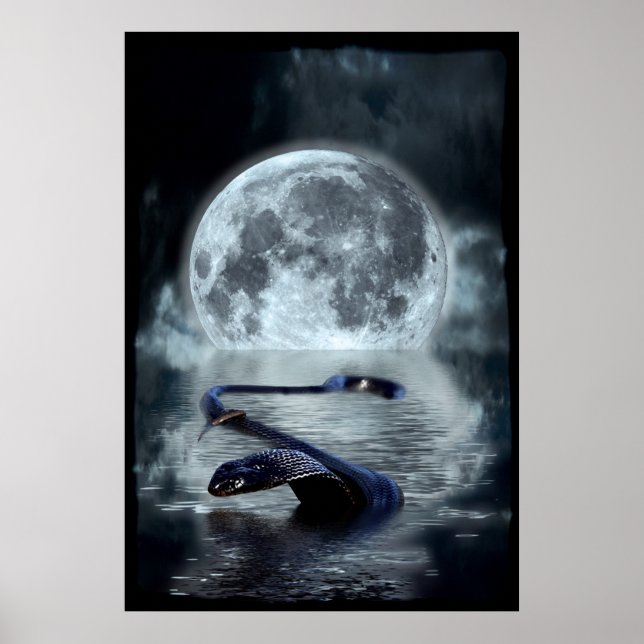 Chinese Year of the Snake Water Snake Black Snake Poster (Front)