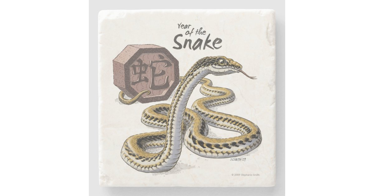 Chinese Zodiac Year Of The Snake Animal Art Stone Coaster Zazzle Com