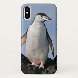 Chinnie iPhone X Case