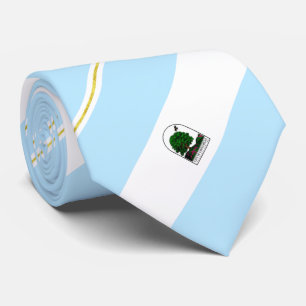Chino Hills (California) city flag Neck Tie