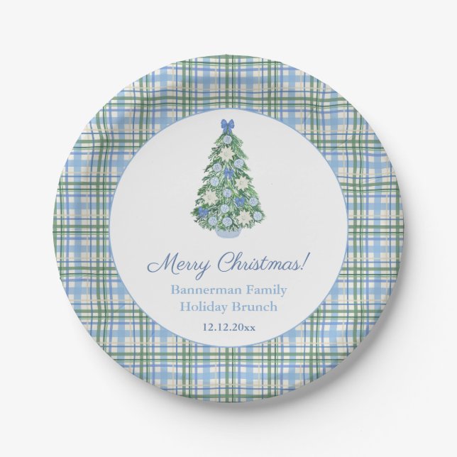 Chinoiserie Pale Blue Green Christmas Brunch Party Paper Plates (Front)