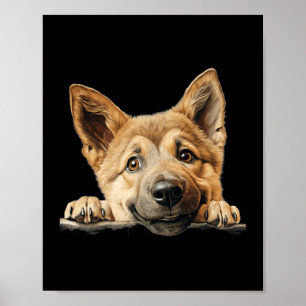 Chinook Dog Mom Dad Peeking Puppy Poster