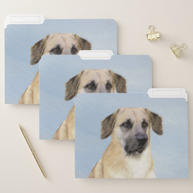 Chinook (Dropped Ears) Painting - Original Dog Art File Folder (Set)
