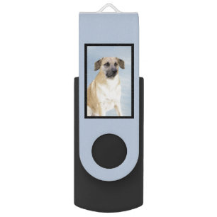 Chinook (Dropped Ears) Painting - Original Dog Art Flash Drive