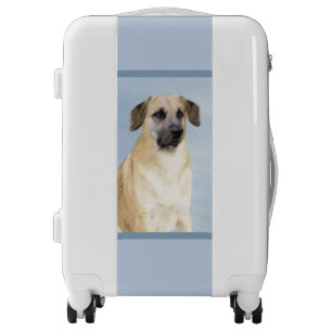 Chinook (Dropped Ears) Painting - Original Dog Art Luggage