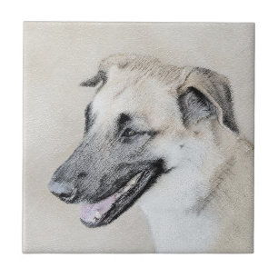 Chinook (Helicopter Ears) Painting - Dog Art Ceramic Tile