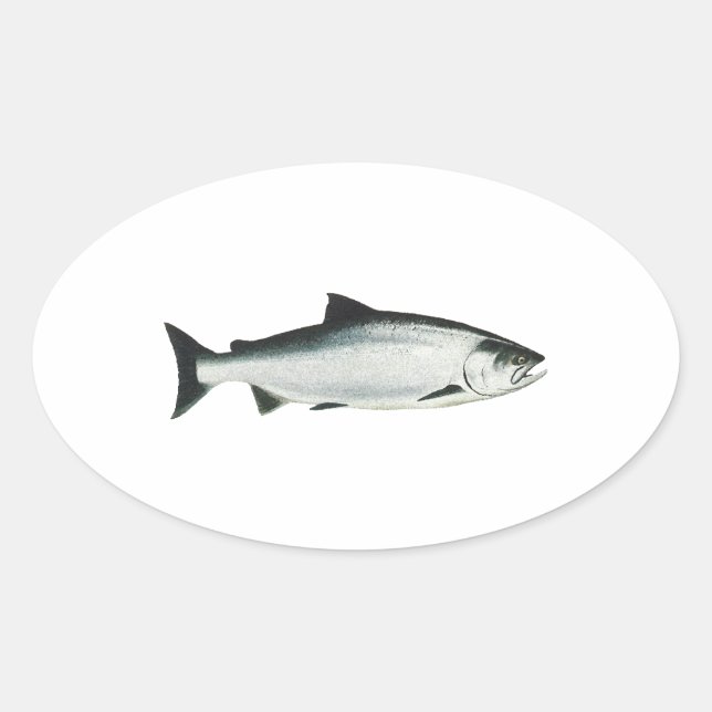Chinook - King Salmon Oval Sticker (Front)