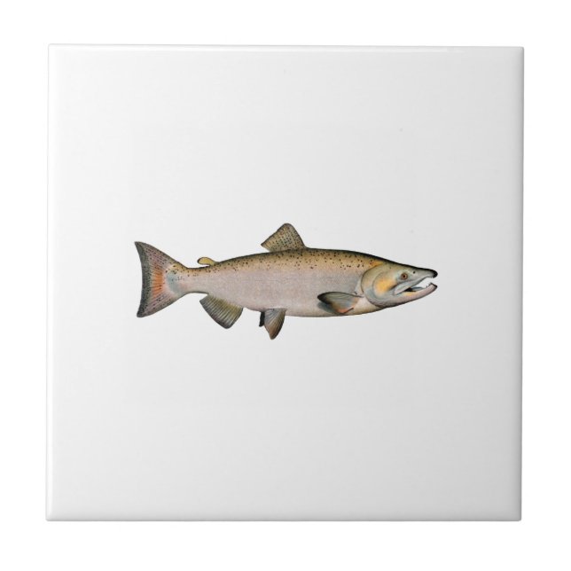 Chinook - King Salmon (spawning phase) Tile (Front)