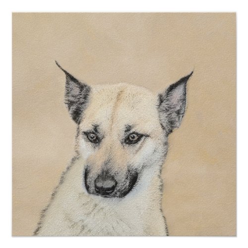 Chinook Pointed Ears Painting _ Original Dog Art Poster