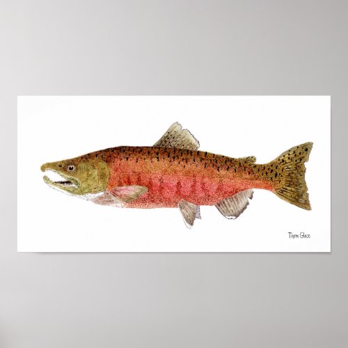 Chinook Salmon in Spawning Dress Poster