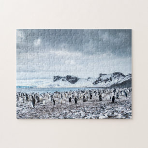 Chinstrap Penguin Colony Landscape Jigsaw Puzzle