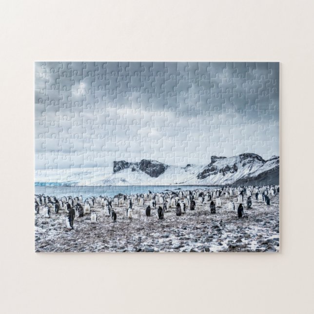 Chinstrap Penguin Colony Landscape Jigsaw Puzzle (Horizontal)