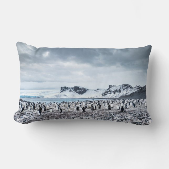 Chinstrap Penguin Colony Landscape Lumbar Pillow (Front)