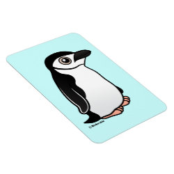 Chinstrap Penguin 4