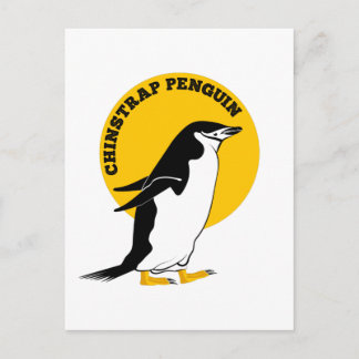 Chinstrap penguin postcard
