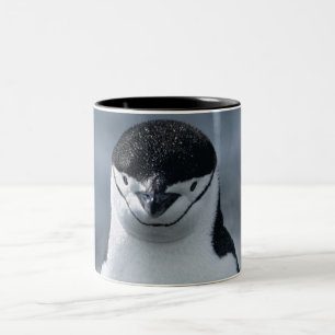 Chinstrap Penguin Two-Tone Coffee Mug