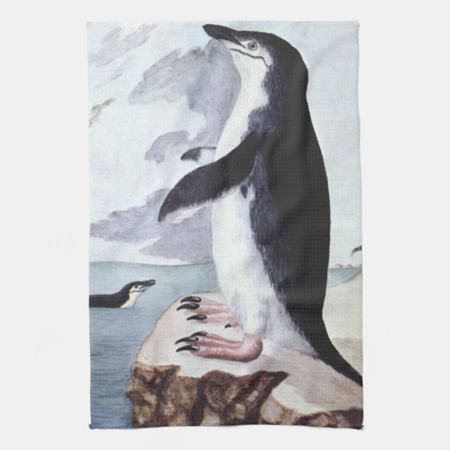 Chinstrap Penguin, Vintage Birds from Antarctica Kitchen Towel (Vertical)